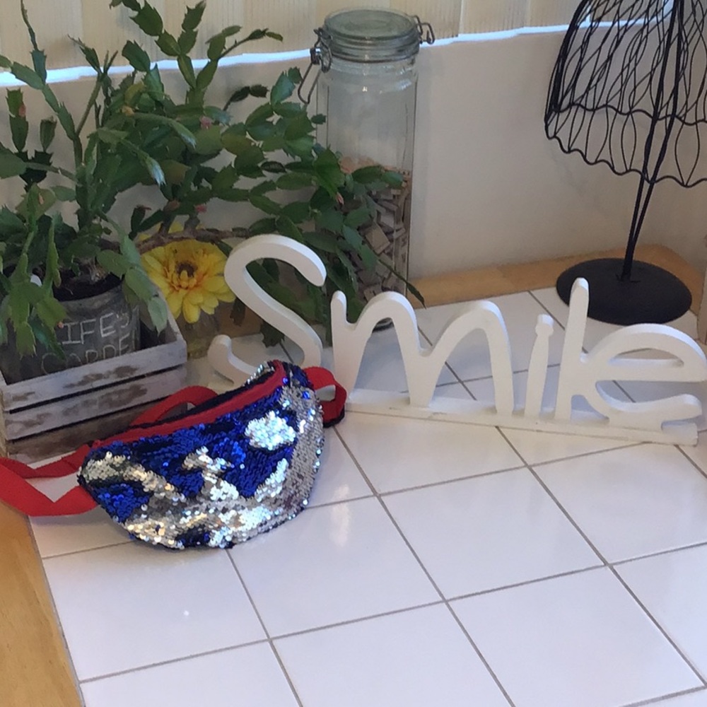 Dan Dee Collectors Choice Sequined FannyPack/Chest Bag